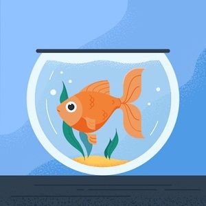 Meet your Posher, Bella